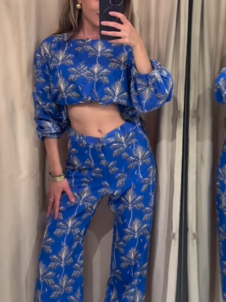 

Элегантный шикарный брючный костюм для женщин, Повседневная рубашка с отложным воротником и длинным рукавом, свободные брюки, комплект для весны 2024, женский наряд для отпуска, Новинка