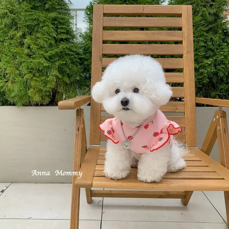 Cute Lace Strawberry Dogs Clothes Skirt Pet Teddy Summer Clothes Schoner Breathable Clothes Puppy Fruit Vest Dog Accessories