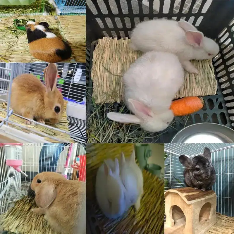 Popular Rabbit Grass Chew Mat Cage Lapin Pour Maison Bird Nests Bunny House Pad for Rabbits Accessories