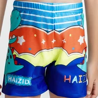 2024 Summer Cartoon Boys Swim Trunks Children Swimwear Pattern Toddler Kids Swimsuits Boys Elastic Waist Beach Shorts L-3XL 5