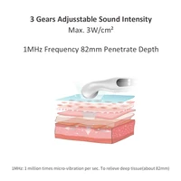 Ultrasound Therapy Machine for Pain Relief Ultrasonic Physiotherapy 1MHz Smart Muscle Massager Drug Free Adults Body Massage 2