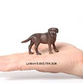 Labrador retriever-2