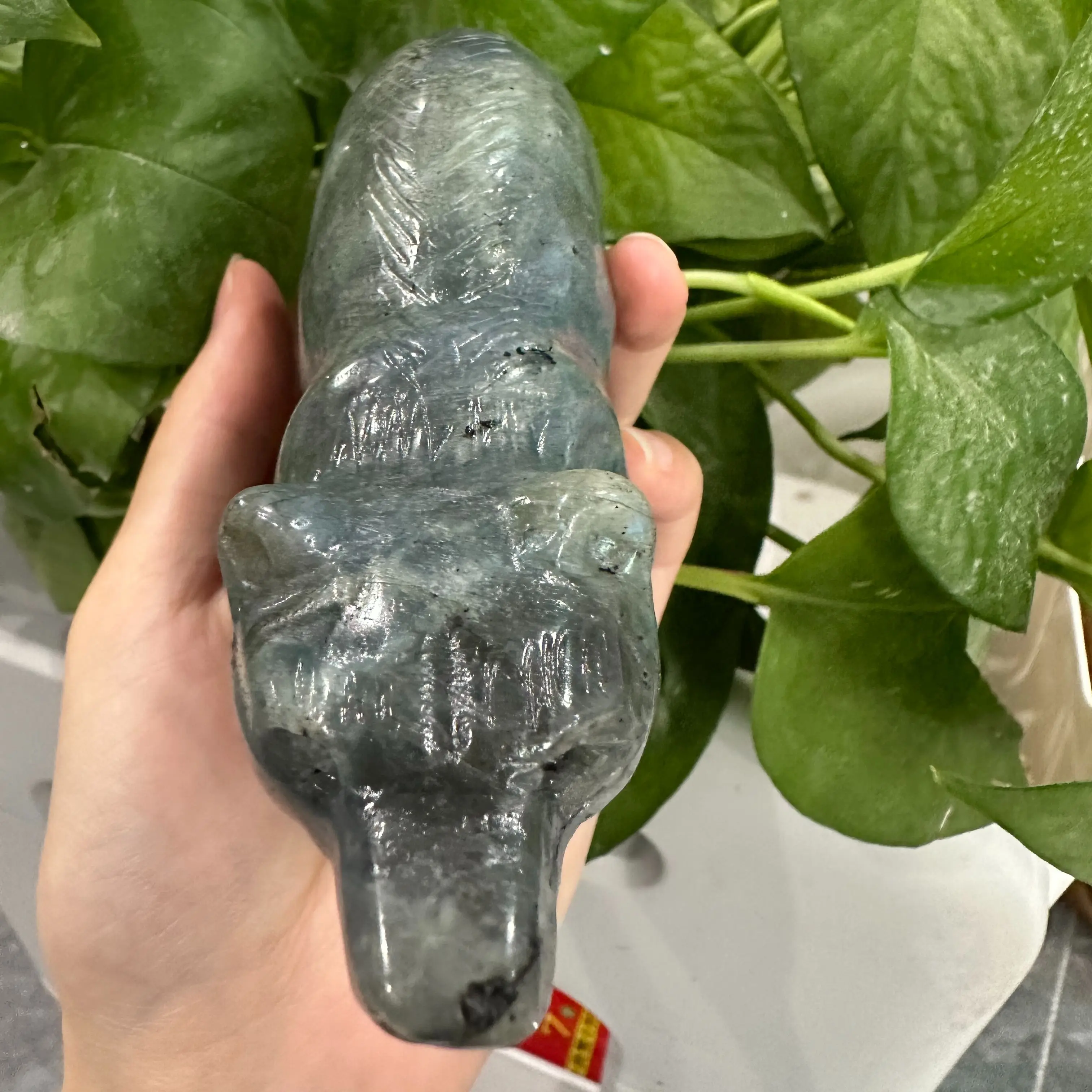 thumb