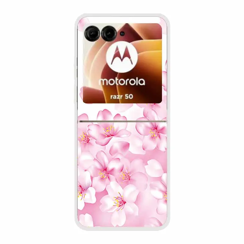 Cartoon Design Transparent Hard Plastic Back Cover Case