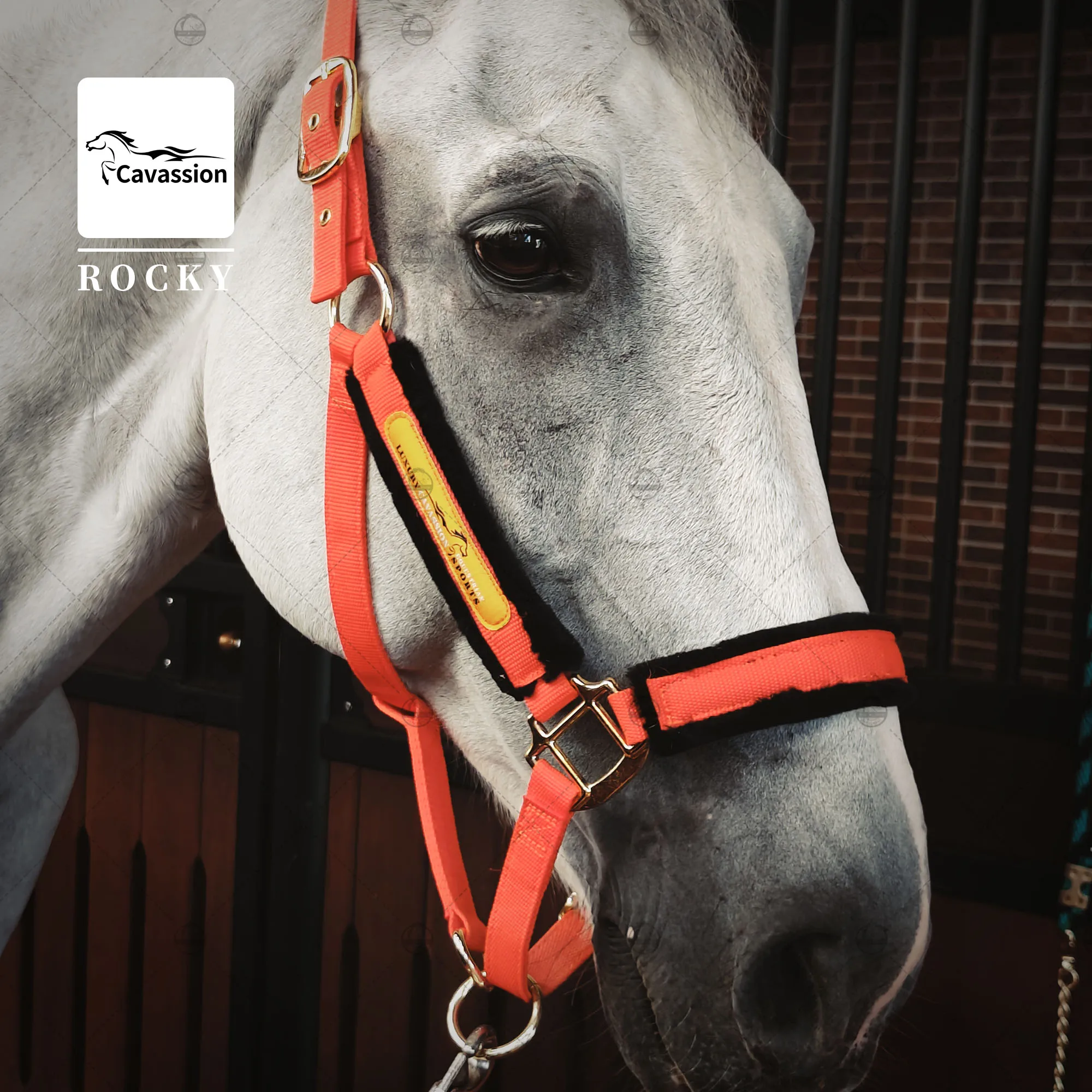 only Cavassion ear cover equestrian equipments horse riding equine tools you can choose saddle pad lead rope leg bandage halter