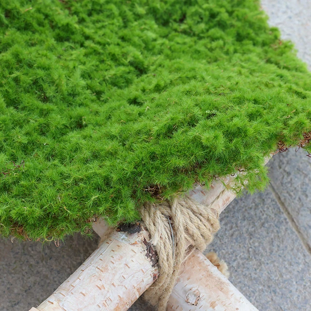 Artificial Moss Plants Lawn Wall Turf Grass Carpet Turf Mat Roll