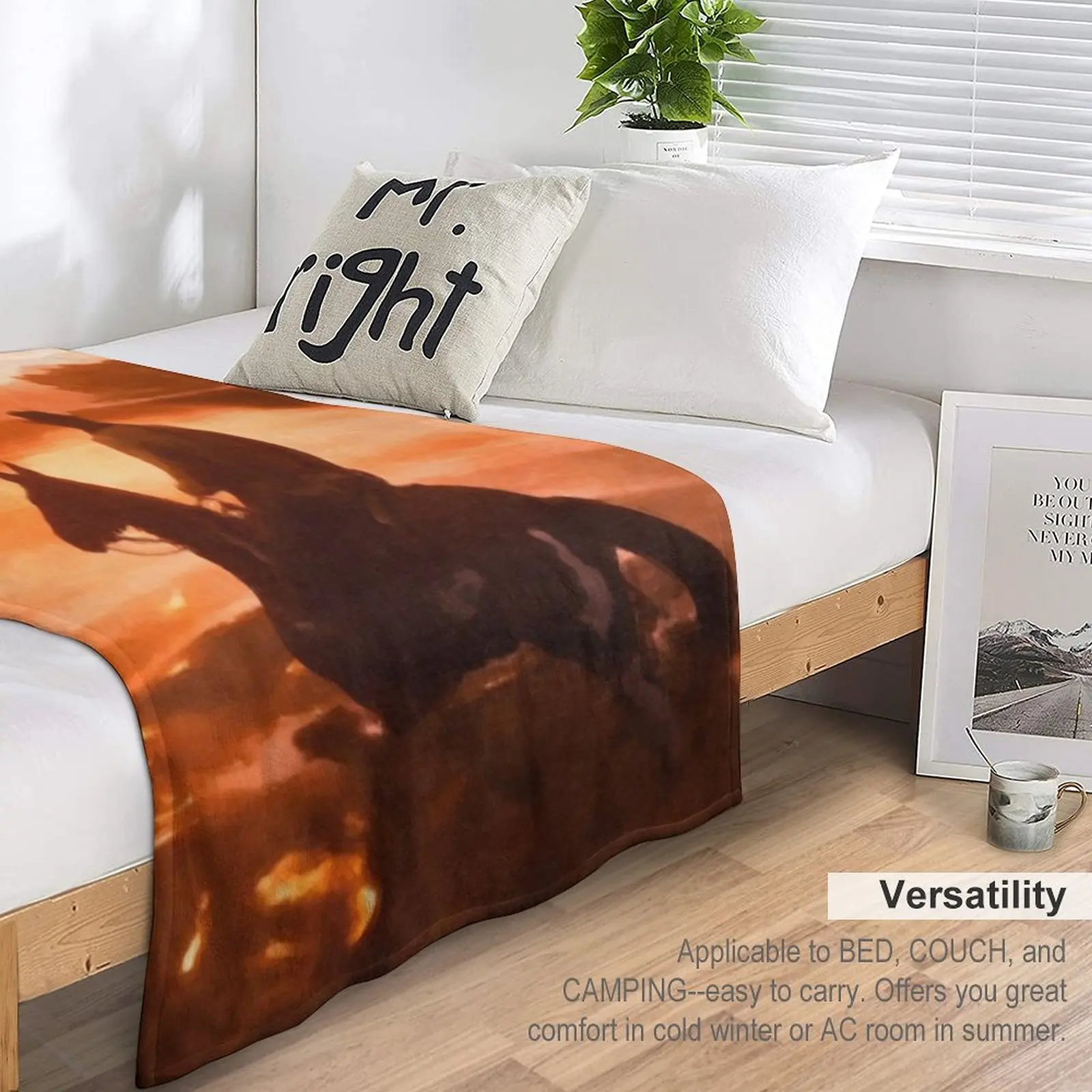 ���� ���� ������ ��� �ö��� ���, �ε巯�� ���� ���� ���� ���, ���� ���