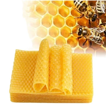 Beeswax Candle Making Kit 1