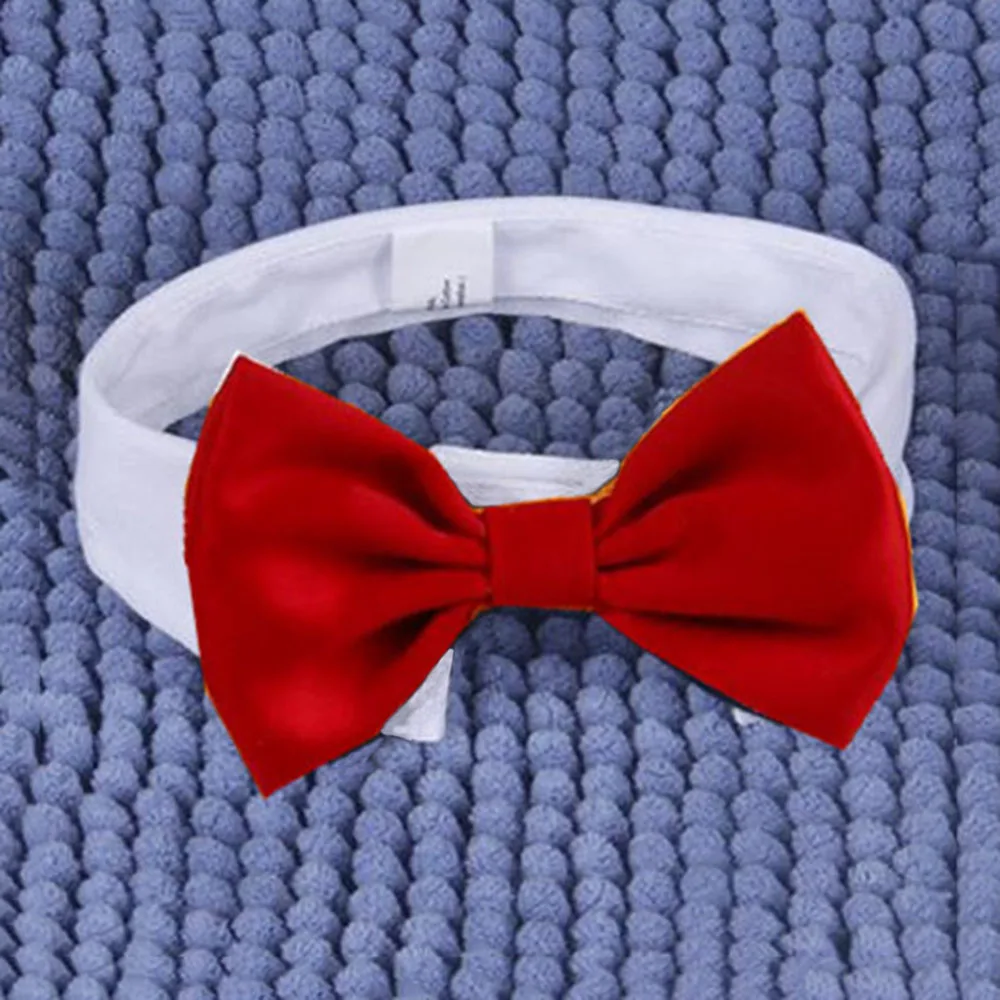 Hunde-Fliege Verstellbar – Haustier-Kostüm Für Hunde & Katzen, Gestreift, Für Hochzeit & Party