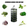 Folding Dry Rack 6 Layers Drying Net for Herbs Hanging Basket Dryer Bag Mesh Herb Drying Net for Flowers Buds Plants Organizer 3