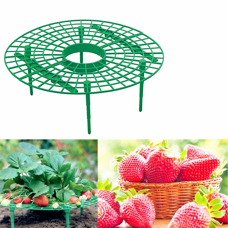 

3pcs Strawberry Stand Frame Holder Balcony Planting Rack Flower Growing Circle Support Rack For Orchard and Garden