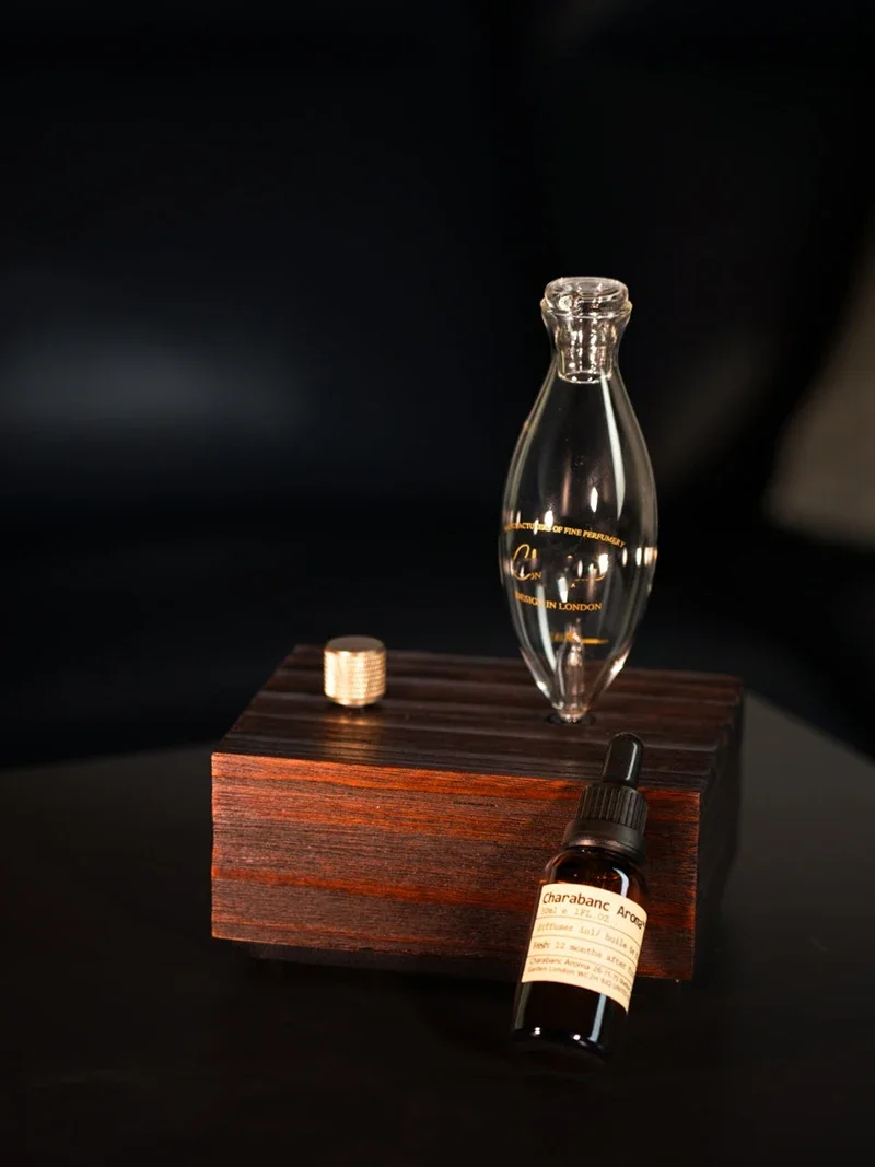 Vintage Aroma Diffuser With Tungsten Filament Lamp And Humidifier_voghion.com