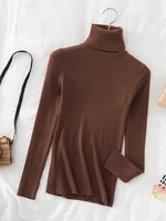 Korean Fashion Turtleneck Women Autumn Winter Pullover Sweater Basic Solid Casual Slim Stretch Ribbed Knitted Top Woman Sweaters 6