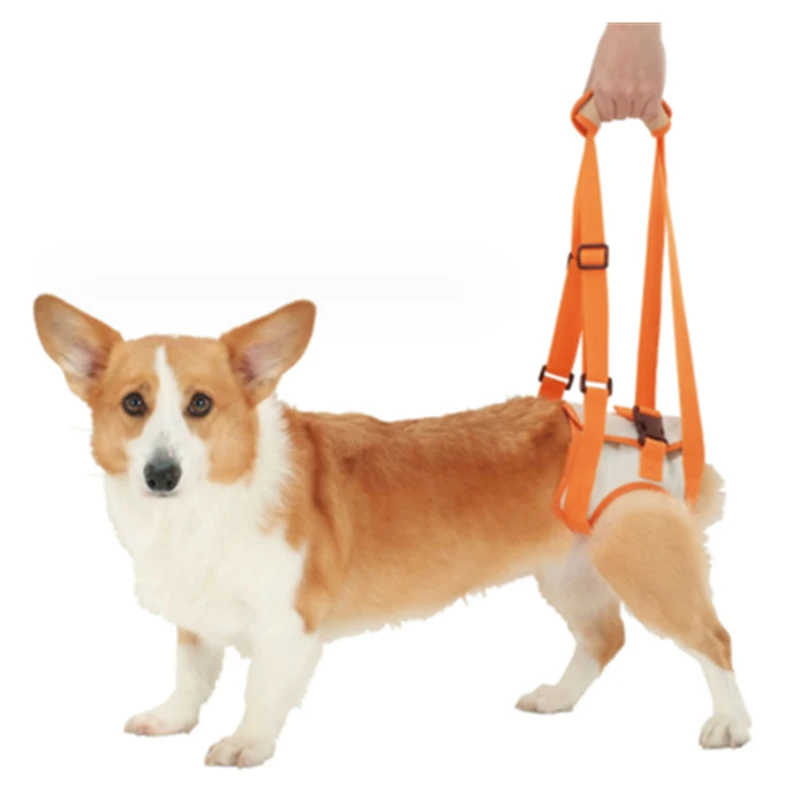 Adjustable Dog Sling Back Legs Hip Support Pet Accessories for Canine Aid and Ligament Rehabilitation Dog Lift Harness