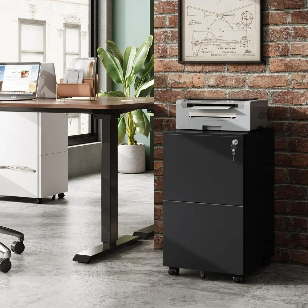 

2-Drawer Mobile File Cabinet With Lock Office Accessories Commercial Vertical Cabinet in BlackFreight Freefreight Free Cabinets