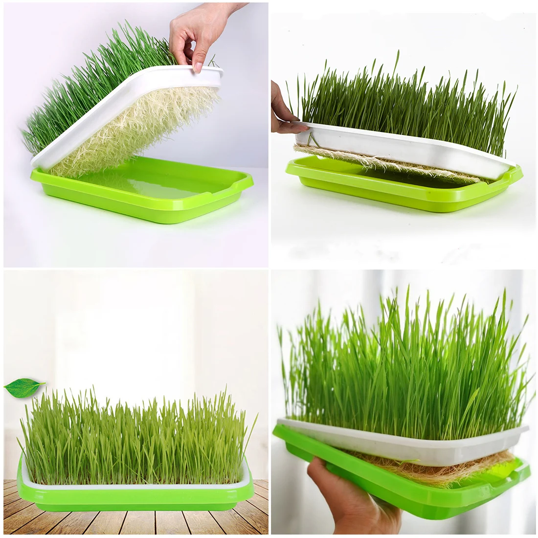 

Seed Sprouter Tray Large Capacity Healthy Wheatgrass Grower With Cover Seedling Sprout Plate Hydroponic Soilless Planting Pot