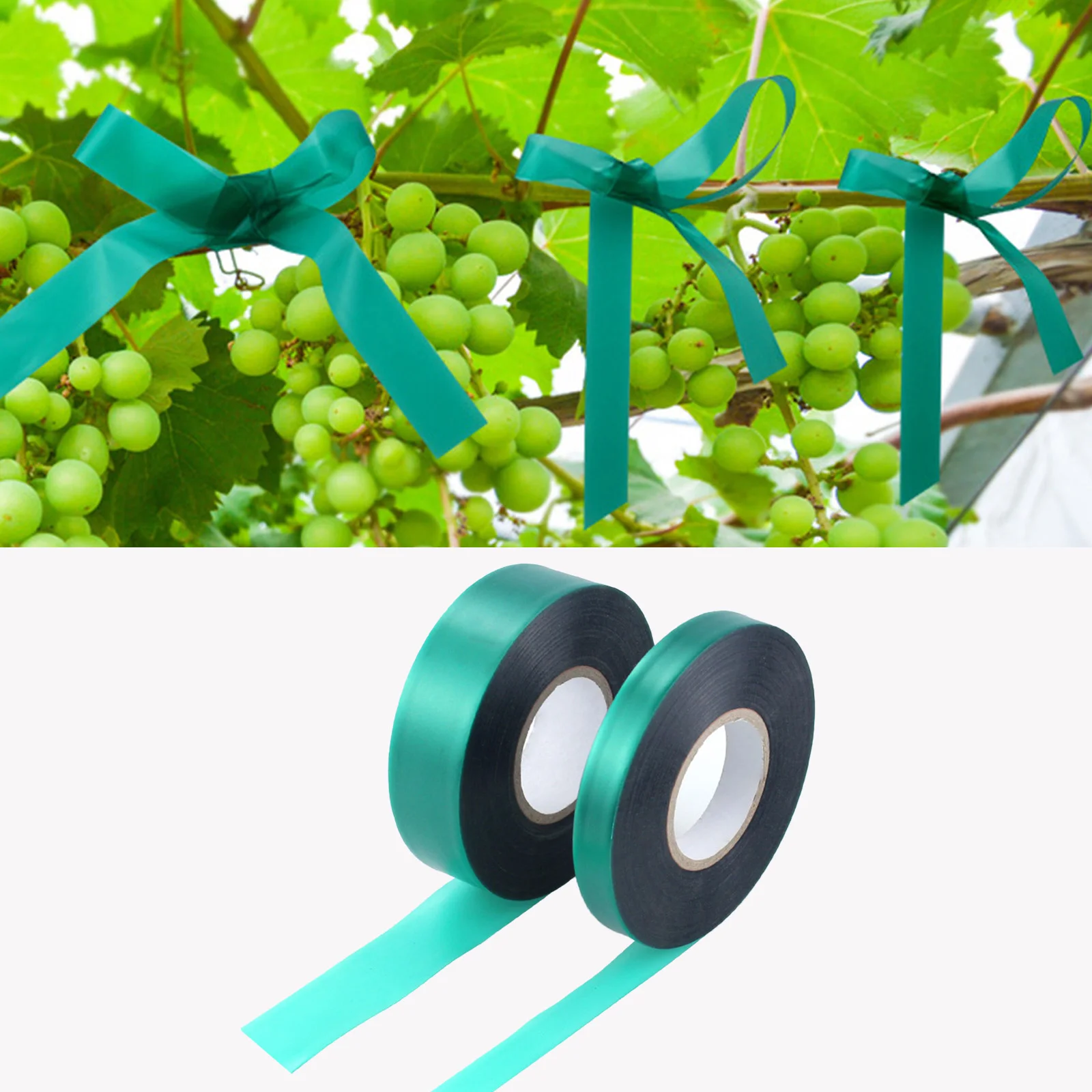 Garden Plant Branch Tie Ribbon PVC Garden Grafting Stretch Tie Ribbon Strength and Toughness Binding Ribbon for Vegetables Garden Plant Branch Tie Ribbon PVC Garden Grafting Stretch Tie Ribbon Strength and Toughness Binding Ribbon for Vegetables