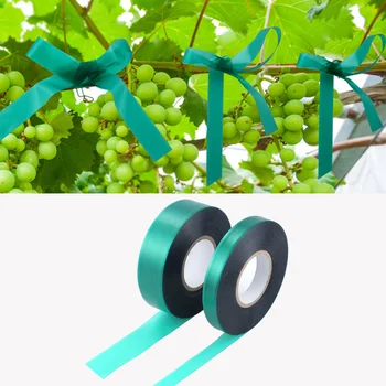 Garden Plant Branch Tie Ribbon PVC Garden Grafting Stretch Tie Ribbon Strength and Toughness Binding Ribbon for Vegetables
