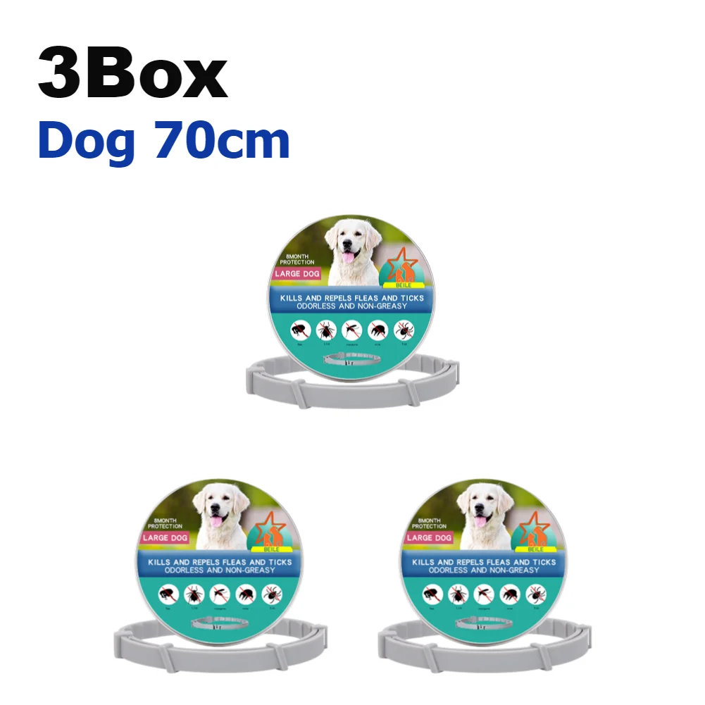 3Box Dog 70cm