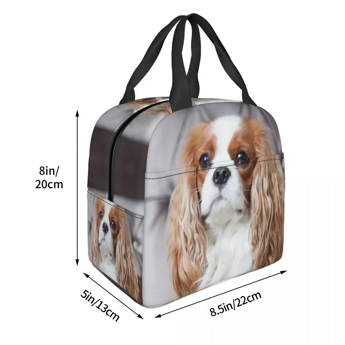 Lunch Bag Women Cooler Thermal Insulated Lunch Box Cavalier King Charles Spaniel for Kids School Children