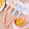 Baby Silicone Grinding Training Spoon Baby Feeding Complementary Food Rice Paste Double Headed Soft Spoon Sticky Licking Rod 1