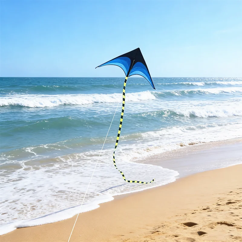 1,6 m Delta-Drachen, Winddrachen, Outdoor-Spielzeug für Kinder, Flugdrachen, Sport, Strand, professioneller Drachen, Oktopus-Drachen, Kevlar – Detail 13