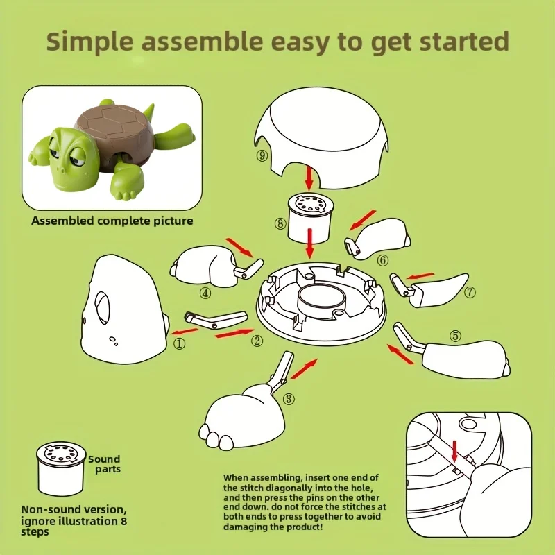 كوستر السلحفاة اللطيف