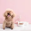 Automatic Drinking Dog Bowl Pet Automatic Feeder Dog Cat Drinking Bowl For Dog Cat Feeding Large Capacity Food Dispenser 2