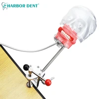 Modèle de tête Simple simulateur dentaire mannequin fantôme avec dents pour dentiste enseignement pratique formation étude équipement de dentisterie 6