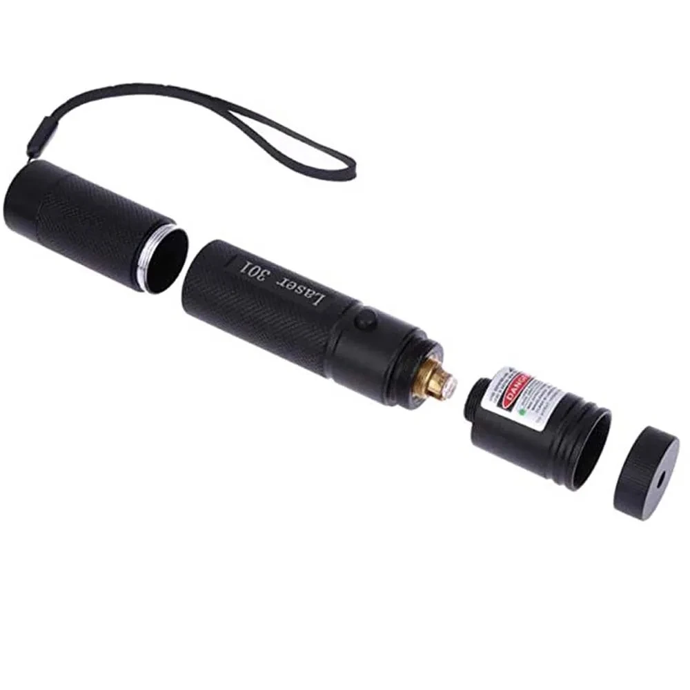 Mini 2 in1 Cat Keychain Fun Pointer No battery Portable Laser pointer LED Training Torch Pet Cat Tickle Toy Flashlight laser pointer