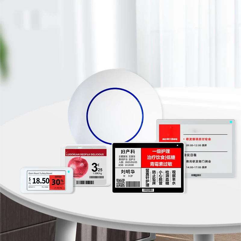 Gicisky ESL Sample Electronic Shelf Label Demo Kit"One-Stop"Router&Server Integration System Price Tag Demo Kit RFID Supermarket
