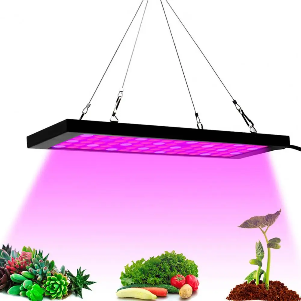 

Led Grow Light High Power 100w Full Spectrum Led Plant Grow Light with Efficient Heat Dissipation for Greenhouse Supplies Plug