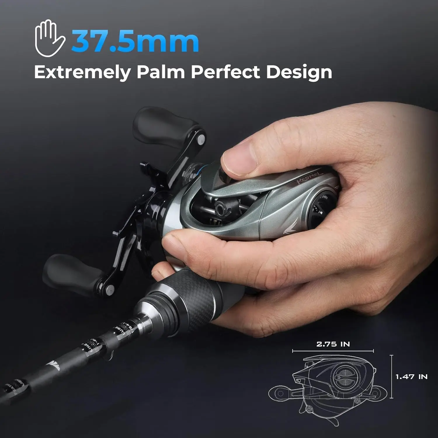 Kestrel Finesse Baitcasting Reel, Ultra-Lightweight, Only 4.5 oz, Easily Cast Lures Down to 1/32 oz, 11+1 Double Shield