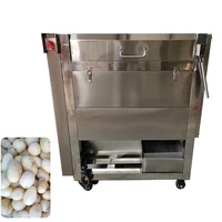 2025New Vegetable Fruit Washing Peeling Cleaning Machine 1
