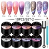 10pcs Gel Nail Polish Set 3D Semi Permanent Thermal Shell Magnet Nail Set With Magnet Stick Soak Off Uv Gel Flower Hybrid Vernis 6