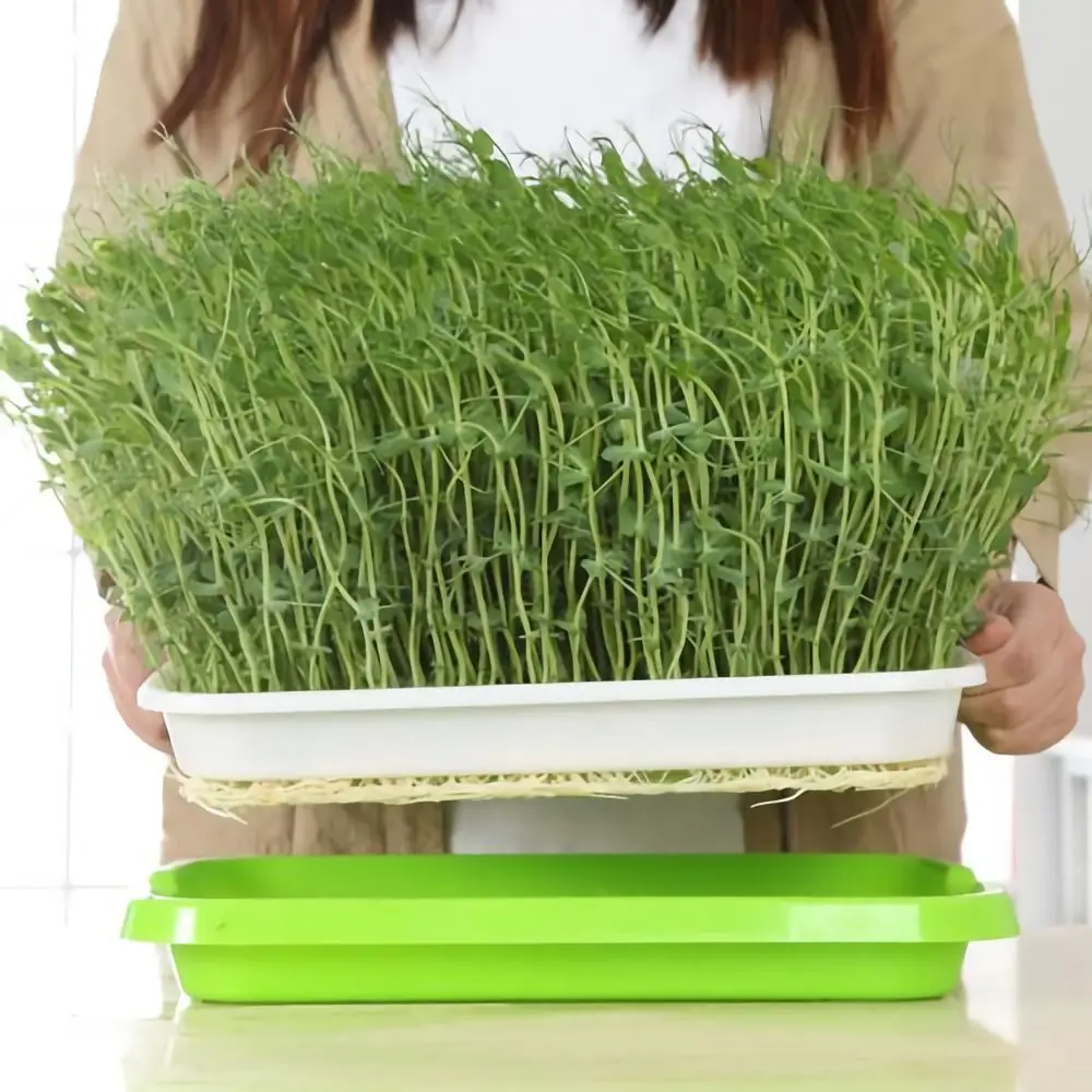 1pc Plastic Grow Nursery Pots Vegetable Soilless Nursery Trays Seed Germination Tray Seedling Sprout Plate Pots Tray