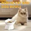 Black Cat Bowl Amazon Ceramic Cat Bowl Pet Bowl Pet Supplies Cat Bowl Dog Bowl Macaron Color New Cat and Dog Universal Pet Bowl 4
