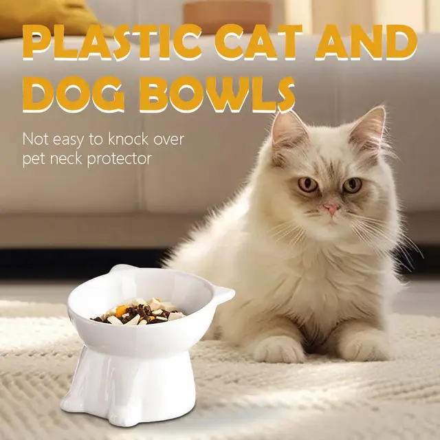 Black Cat Bowl Amazon Ceramic Cat Bowl Pet Bowl Pet Supplies Cat Bowl Dog Bowl Macaron Color New Cat and Dog Universal Pet Bowl 4