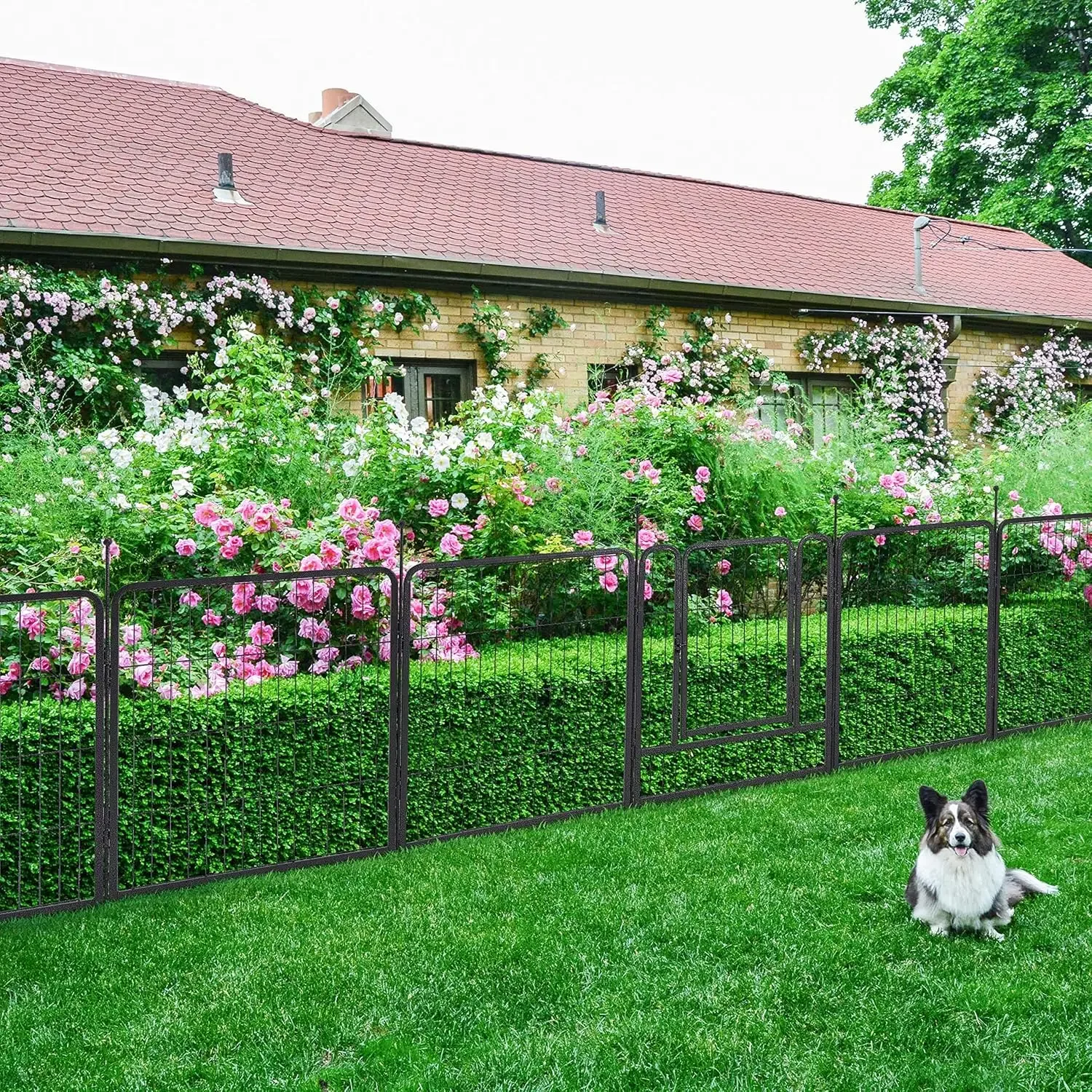 TMEE Garden Fence 16 Panels 36ft&times;40in Decorative Garden Metal Fence with 2 Gates Outdoor Landscape Animal Barrier Dog Pet Fencin