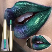Chrome Shifting Pigments Chameleon Liquid Lipstick or Eyeshadow Shiny Long Lasting Multichrome High Quality Lip Gloss Lip Makeup 2