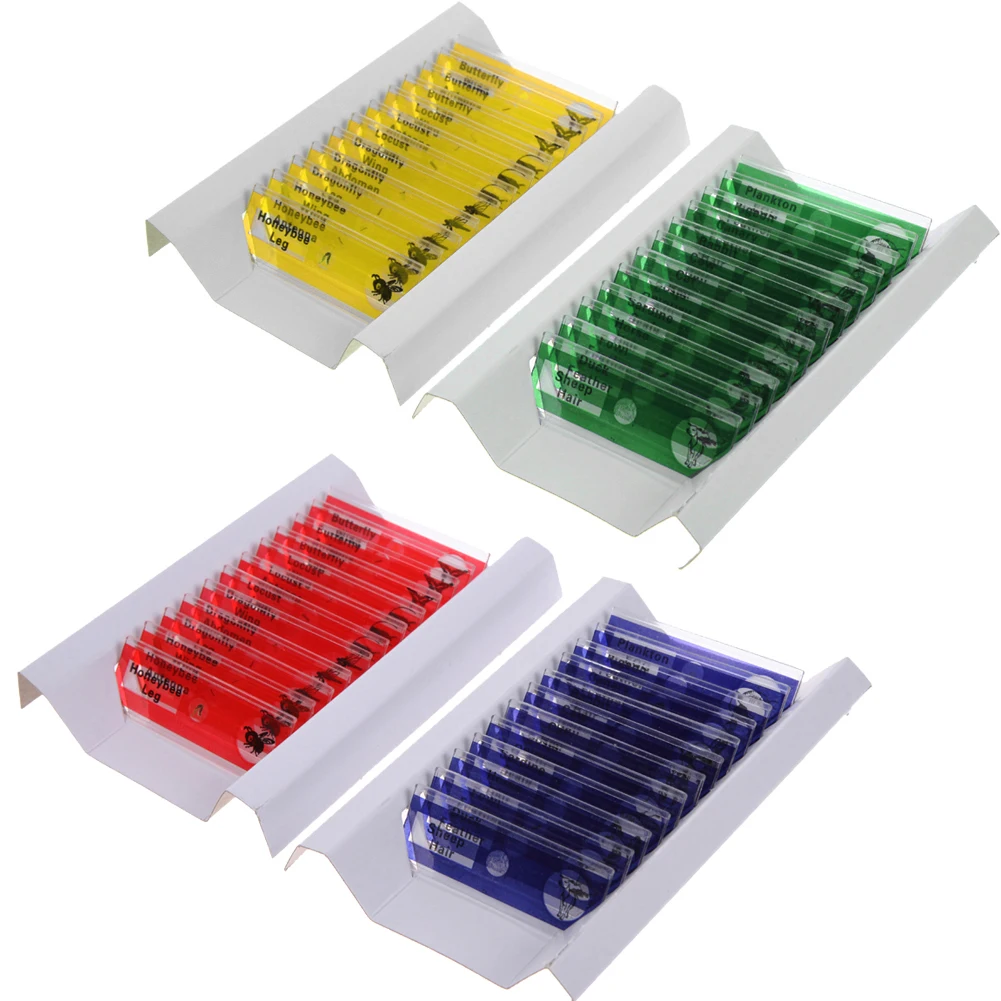 Prepared Plants Flowers Biological Specimen Biology Specimen Set for Kids Science Education microscope specimen plate
