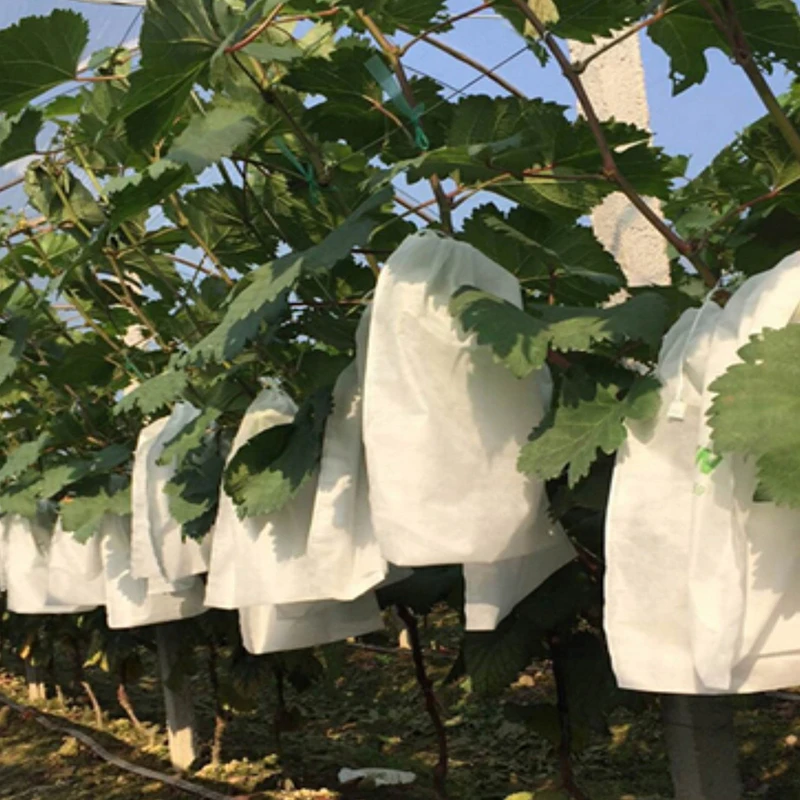 50PCS Fruit Grow Bags Anti Bird Drawstring Grape Protection Bag Pest Control Tool Prevent Plant Grow Bags garden tools