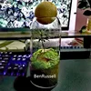 Multipurpose Micro Landscape Glass Bottles Storage With Cork Lid Moss Bottle Glass Vase Seashells Storage Glass Terrarium 1