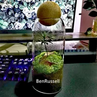 Multipurpose Micro Landscape Glass Bottles Storage With Cork Lid Moss Bottle Glass Vase Seashells Storage Glass Terrarium 1