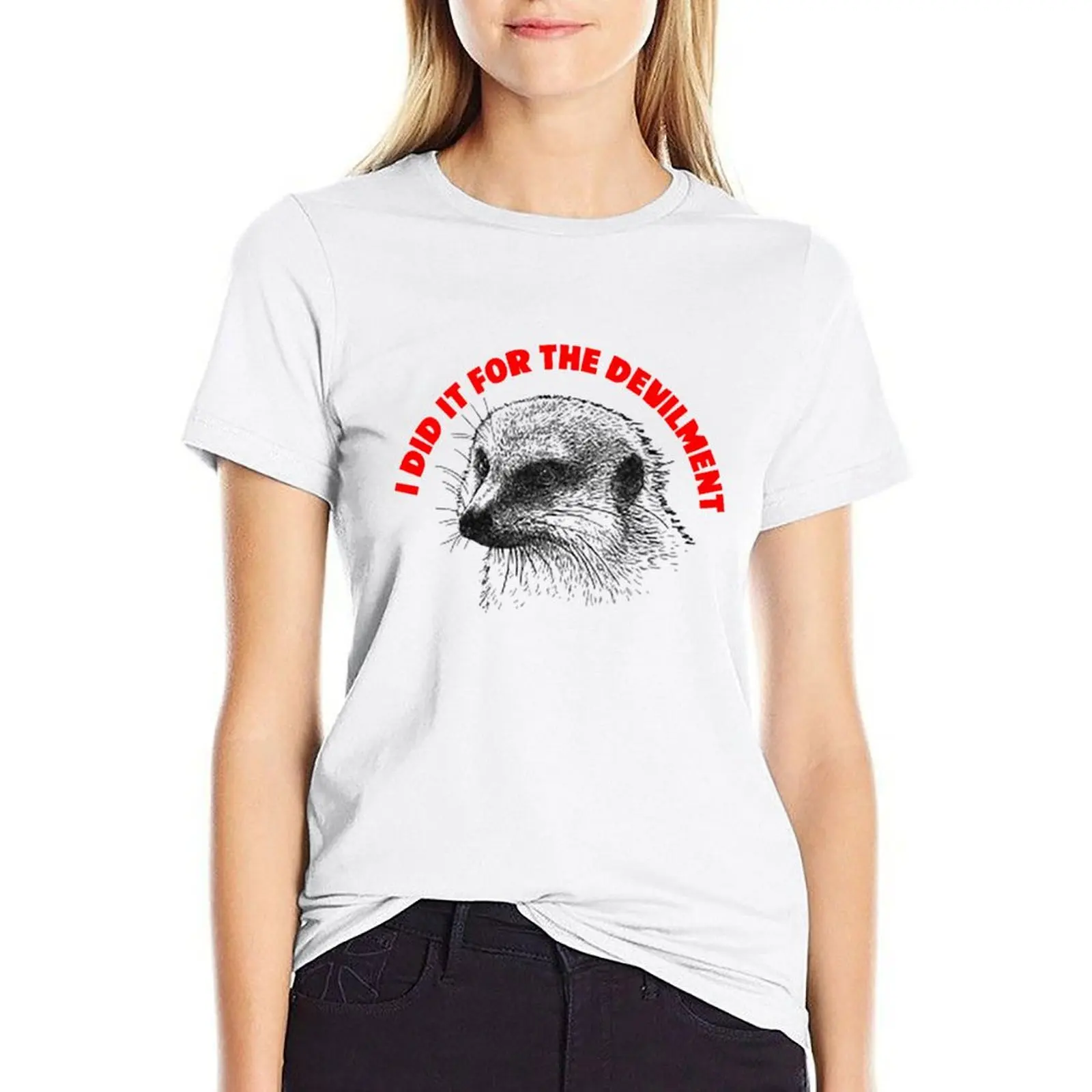 

I Did It For The Devilment T-shirt oversized tops t-shirts for Women cotton