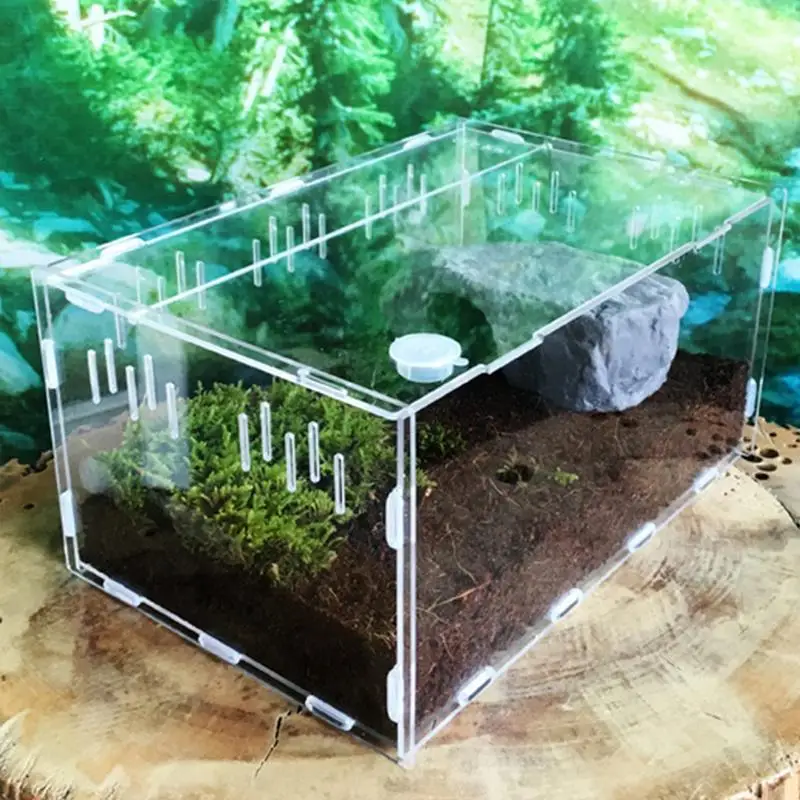 Custodia Per Tarantula Habitat Di Alimentazione Trasparente Per Tarantola Scatola Di Incubazione Da Cova Portatile Contenitore Per Allevamento Di Serp