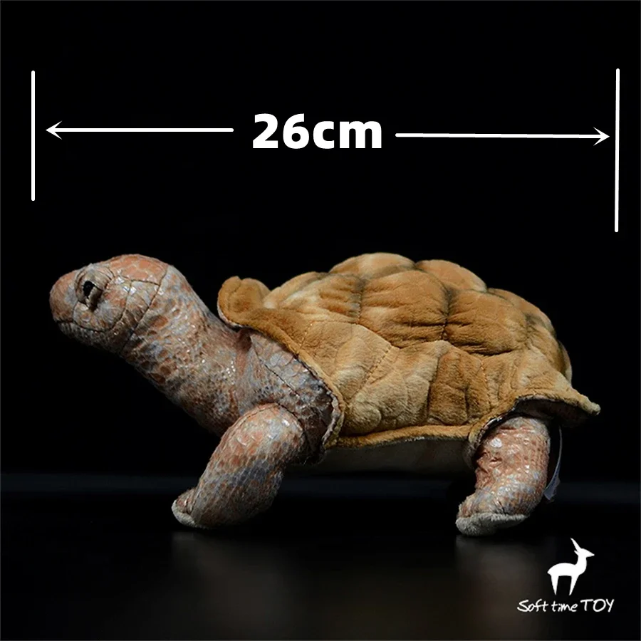 Galapagos Tortoise High Fidelity Anime Cute Plushie Turtles Plush Toys Lifelike Animals Simulation Stuffed Doll Kawai Toy Gifts 2