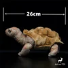 Galapagos Tortoise High Fidelity Anime Cute Plushie Turtles Plush Toys Lifelike Animals Simulation Stuffed Doll Kawai Toy Gifts 2