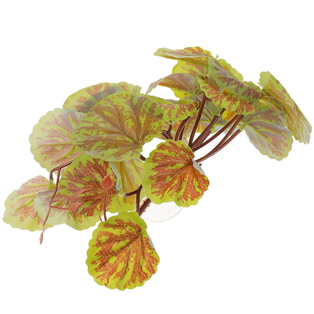 Рисунок 4 - Присоски для подвешивания растений