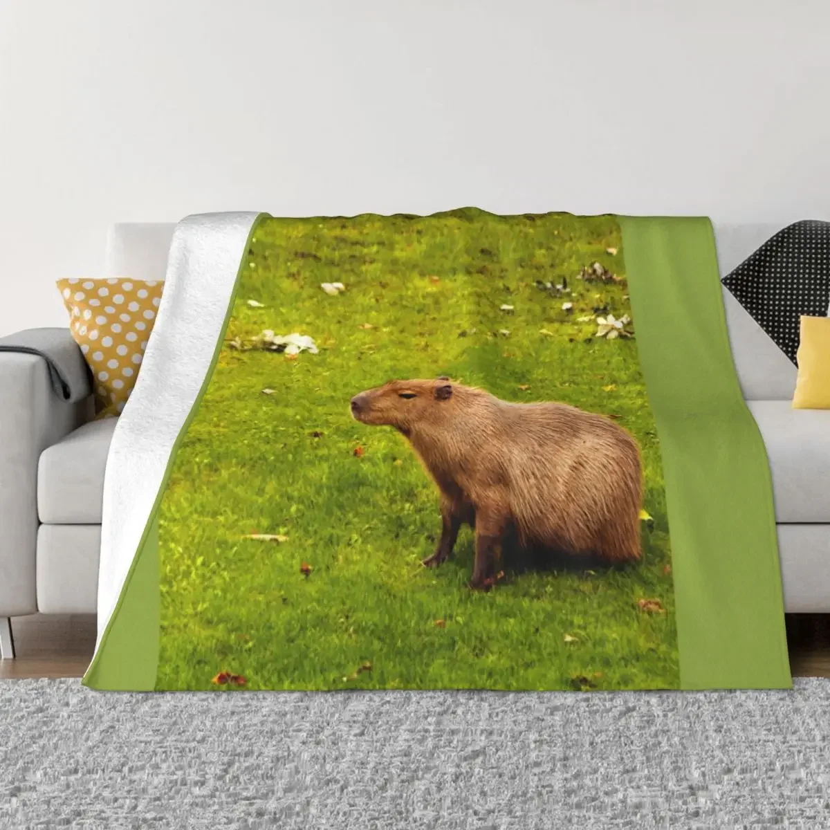 Capybara 던지기 담요, 캠핑 부드러운 봉제 격자 무늬 장식 담요